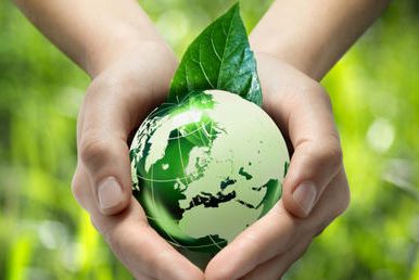 The environmental monitoring